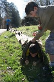 IMG 6571
