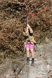 IMG 6490