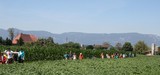 IMG 1025