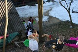 IMG 0335