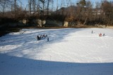 IMG 0391