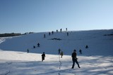 IMG 0384