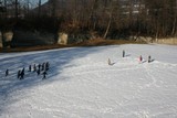 IMG 0394