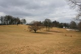 IMG 8315
