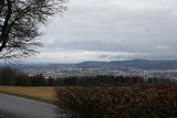 IMG 8310