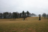 IMG 8292