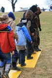IMG 8221