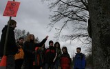 IMG 8348