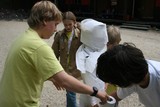 IMG 4824