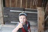 IMG 5956