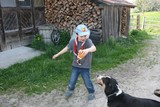 IMG 5959