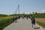 IMG 6118