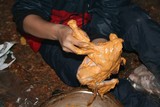 IMG 6331