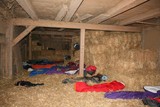 IMG 5953