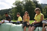 IMG 2514