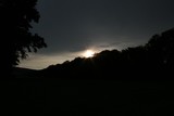 IMG 2394 IMG 2394