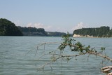 IMG 3196