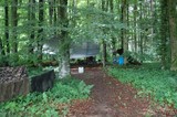 DSC 0156