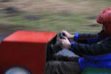 IMG 8723 IMG 8723