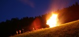 IMG 2100