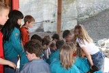 IMG 5558