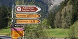IMG 9798