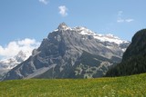IMG 9982