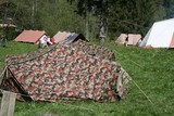 IMG 9909