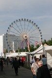 IMG 7805