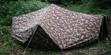 IMG 7971 IMG 7971