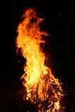IMG 7980 IMG 7980