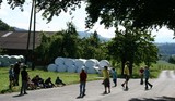 IMG 7998 IMG 7998