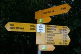 IMG 8000 IMG 8000