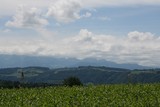 IMG 8025