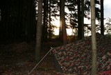 IMG 8051