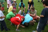 IMG 8154