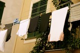IMG 9892