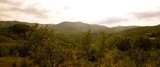 IMG 9926