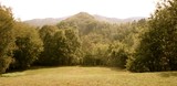 IMG 9936