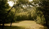 IMG 9938