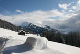 IMG 0617