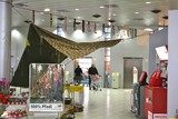 IMG 0813