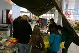 IMG 0895