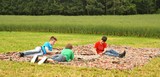 IMG 2472