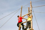 IMG 2529