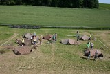IMG 2702