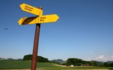 IMG 2915