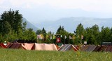 IMG 2919