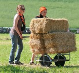 IMG 2953