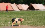 IMG 2972